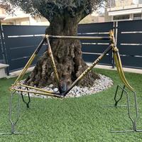 COLNAGO GOLD