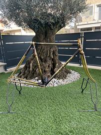 COLNAGO GOLD
