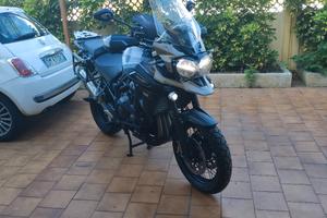 Triumph 