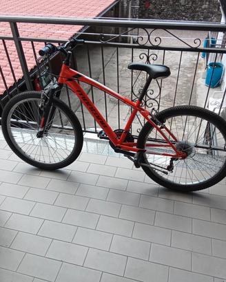 bici montana escape da 24 pollici
