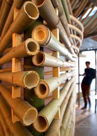 Canne di bambù arredamento attività e abitativo