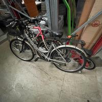 Biciclette varie misure
