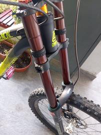 Bicicletta Downhill