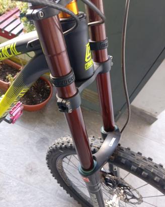 Bicicletta Downhill