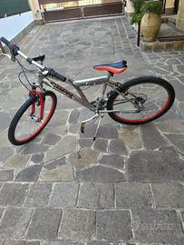 Bici da uomo