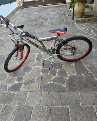 Bici da uomo