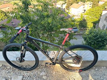 Mtb in carbonio