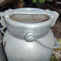 Contenitore per il latte di pecora