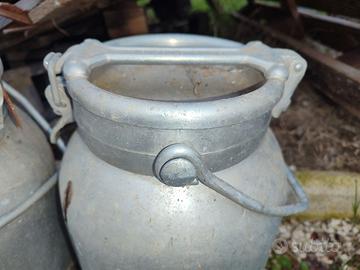 Contenitore per il latte di pecora