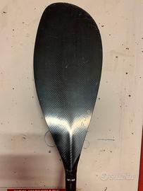 Pagaia carbonio