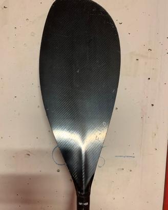 Pagaia carbonio