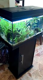 Acquario Juwel 60litri