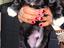 Immagine 3