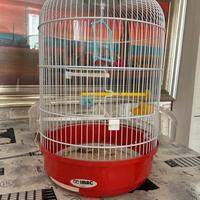 Gabbia Imac  per canarini