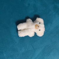 peluche della Coccolino 