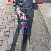 Bicicletta bimbo 5/6 anni