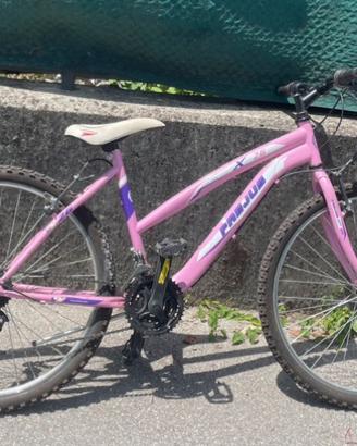 Bicicletta da ragazza o bambina o donna