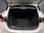 Immagine 7