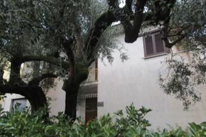 Villa degli Ulivi - 6 posti letto