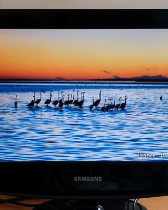 TV Monitor Samsung 19 pollici 