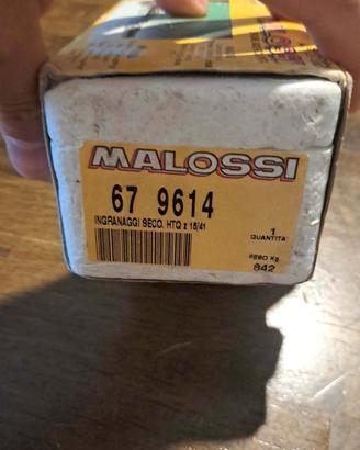 Rapporti secondari Malossi