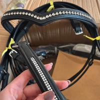 Accessori Cavallo
