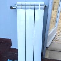 Termosiifoni bisnchi