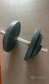 : Manubri regolabili con dischi in ghisa – 30 kg