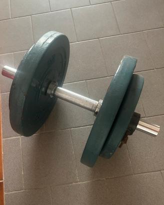 : Manubri regolabili con dischi in ghisa – 30 kg
