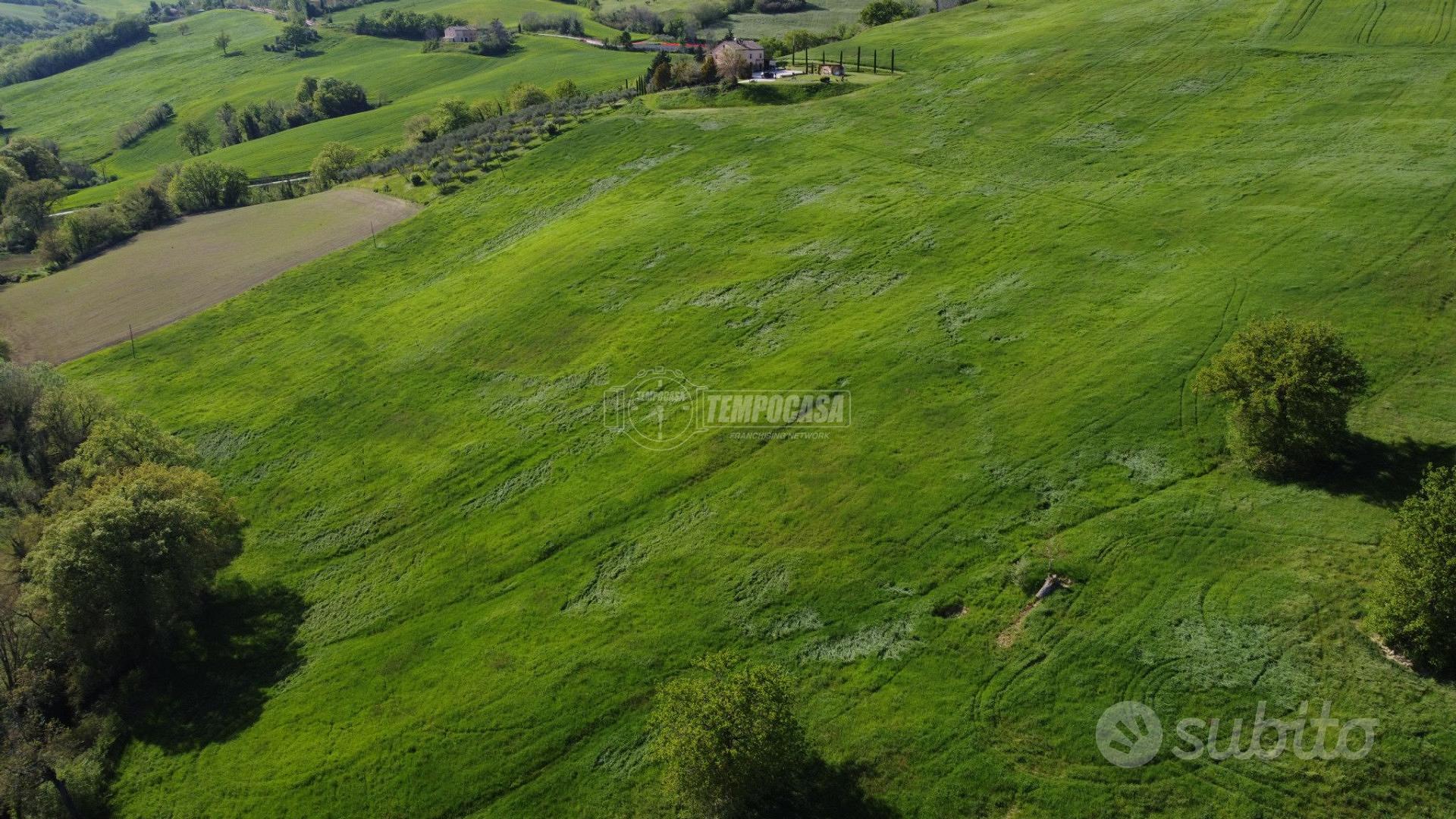 Terreno agricolo di 10 ettari seminativi - Altro