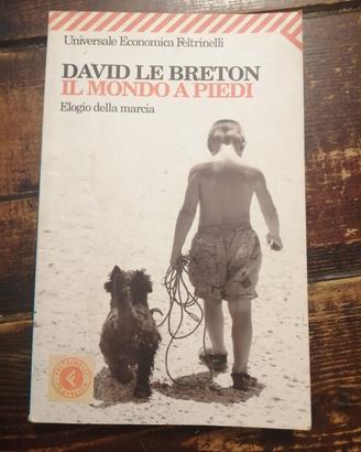 Il mondo a piedi