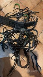 Finimenti per pony classeb