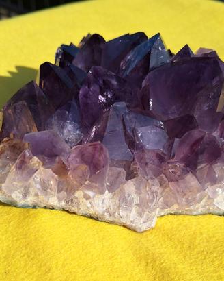 Drusa di Quarzo Ametista - Cristalli viola intenso