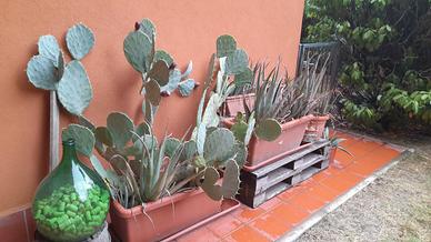 Attrezzi da giardino 2/3