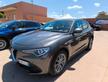 Alfa Romeo Stelvio 2.2 Turbodiesel 160 CV AT8 RWD 