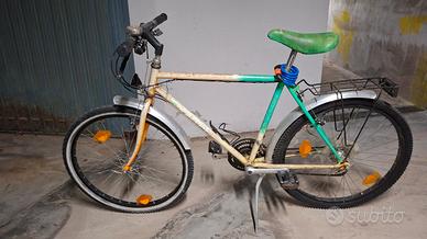 Bici tipo mountain bike