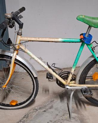Bici tipo mountain bike