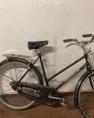 Bicicletta uomo Forever Jongjiu