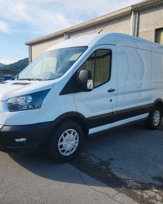 Ford Transit L2H2 Gancio Traino