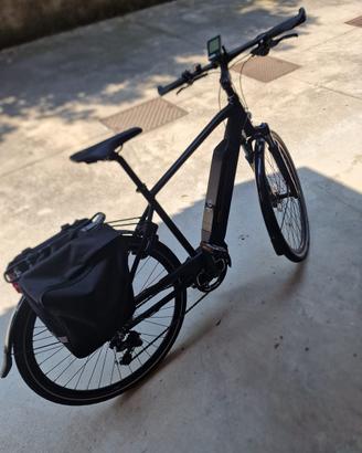 E-bianchi mod spillo e active