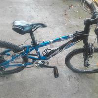 bicicletta 