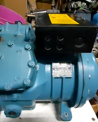 Motore compressore refrigerante