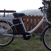 bici elettrica da passeggio