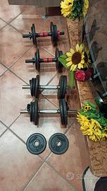 Manubri e dischi palestra pesi