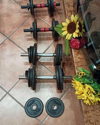 Manubri e dischi palestra pesi