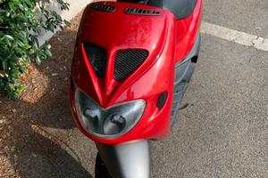 Zip Sp Mk1 1996 Con Documenti