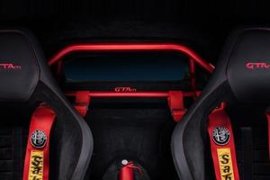 Roll bar rosso Alfa Romeo Giulia GTAm