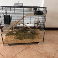 gabbia criceto 