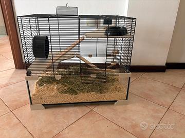 gabbia criceto 
