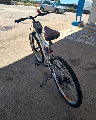 bicicletta 